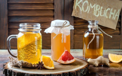 Kombucha στο μικροσκόπιο
