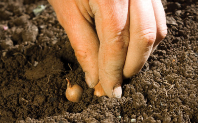 Προϊόντα Demeter, κάτι παραπάνω από βιολογικό